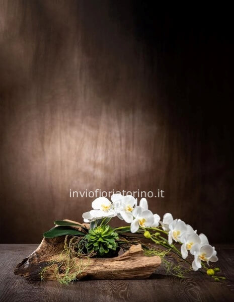 Composizione autunnale bassa con frutta