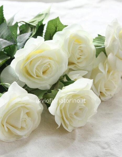 Rose bianche a steli, prima scelta, lunghezza 60 cm.