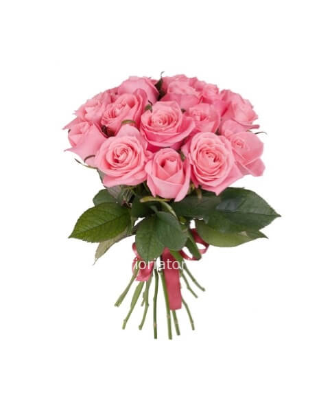 Rose rosa a steli, prima scelta, lunghezza 60 cm